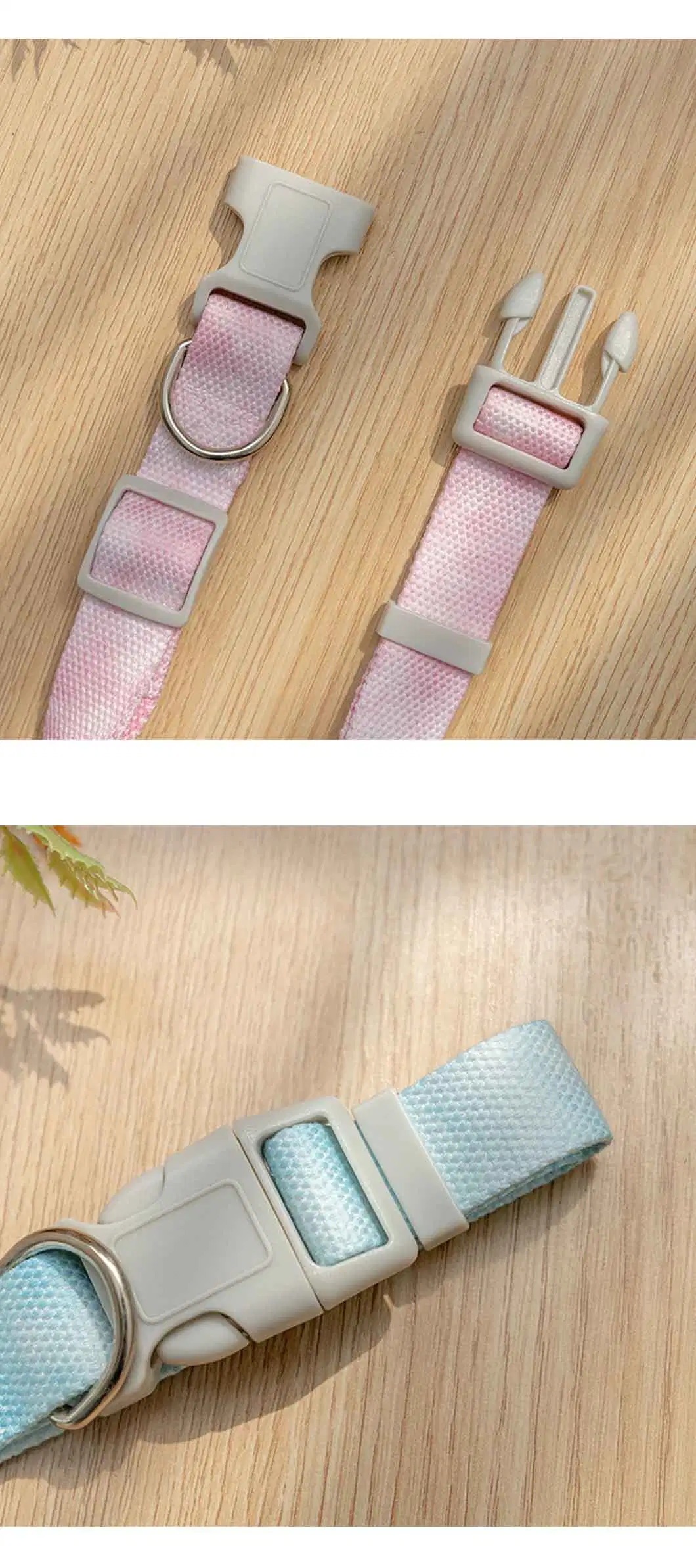 Rena Pet New Fashion Durable High Quality Full Size Gradient Color Adjustable Collar & Leash