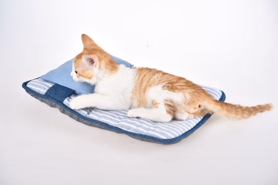 Materasso rettangolare per animali domestici in pile di corallo ispessito per animali domestici autunno/inverno